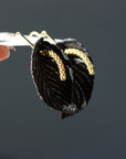 THIS ILK - BOUCLES ANTHURIUM PETITE