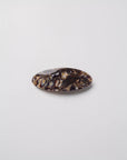 WOLF CIRCUS - ROSALINE HAIR CLIP - ABALONE