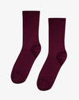 COLORFUL STANDARD - CHAUSSETTE - FEMME