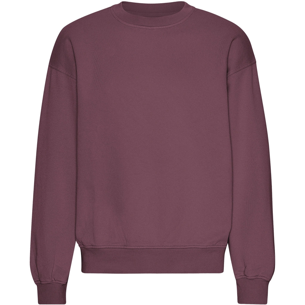 COLORFUL STANDARD - OVERSIZED COTTON CREW - DUSTY PLUM