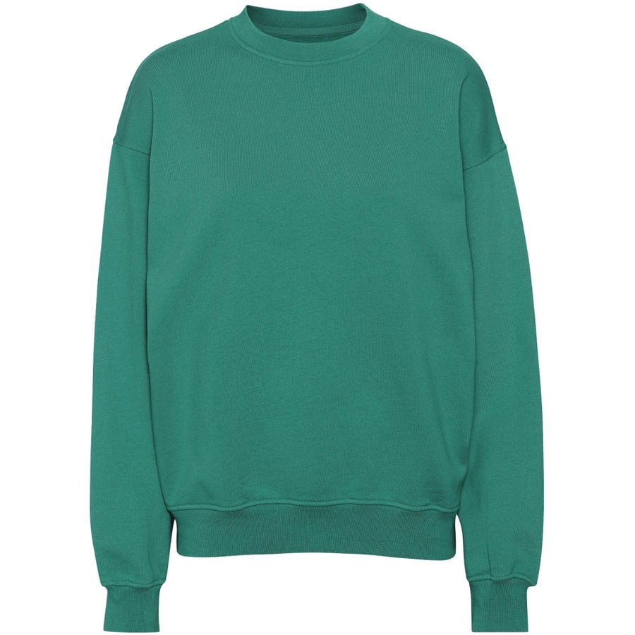 COLORFUL STANDARD - ORGANIC OVERSIZED CREW - PINE GREEN