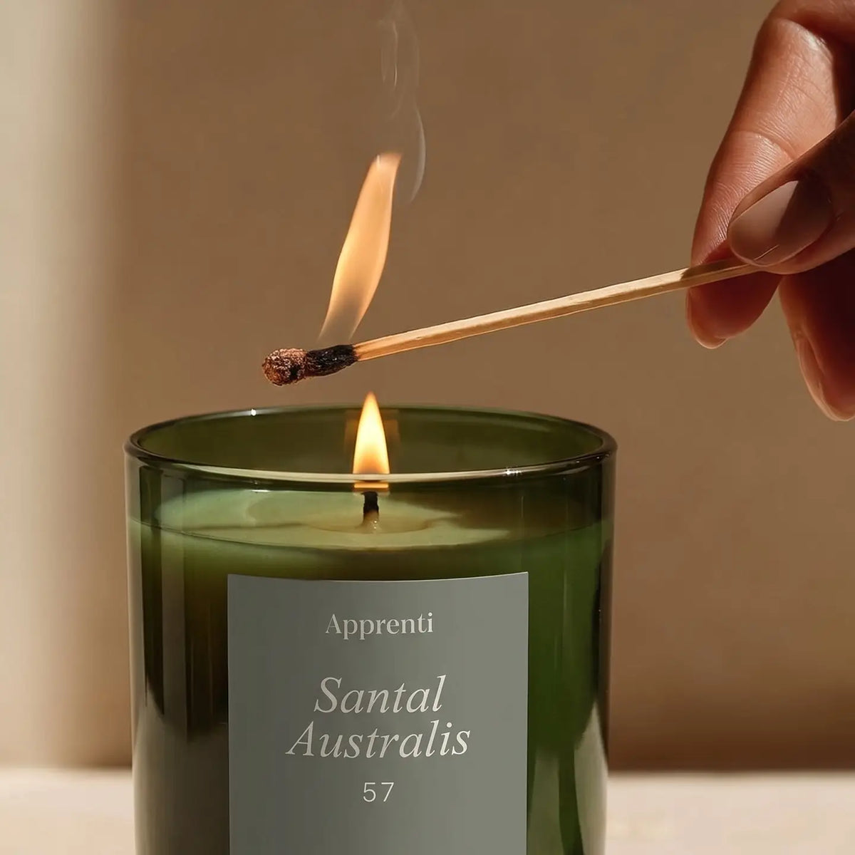 APPRENTI - CHANDELLE - SANTAL AUSTRALIS