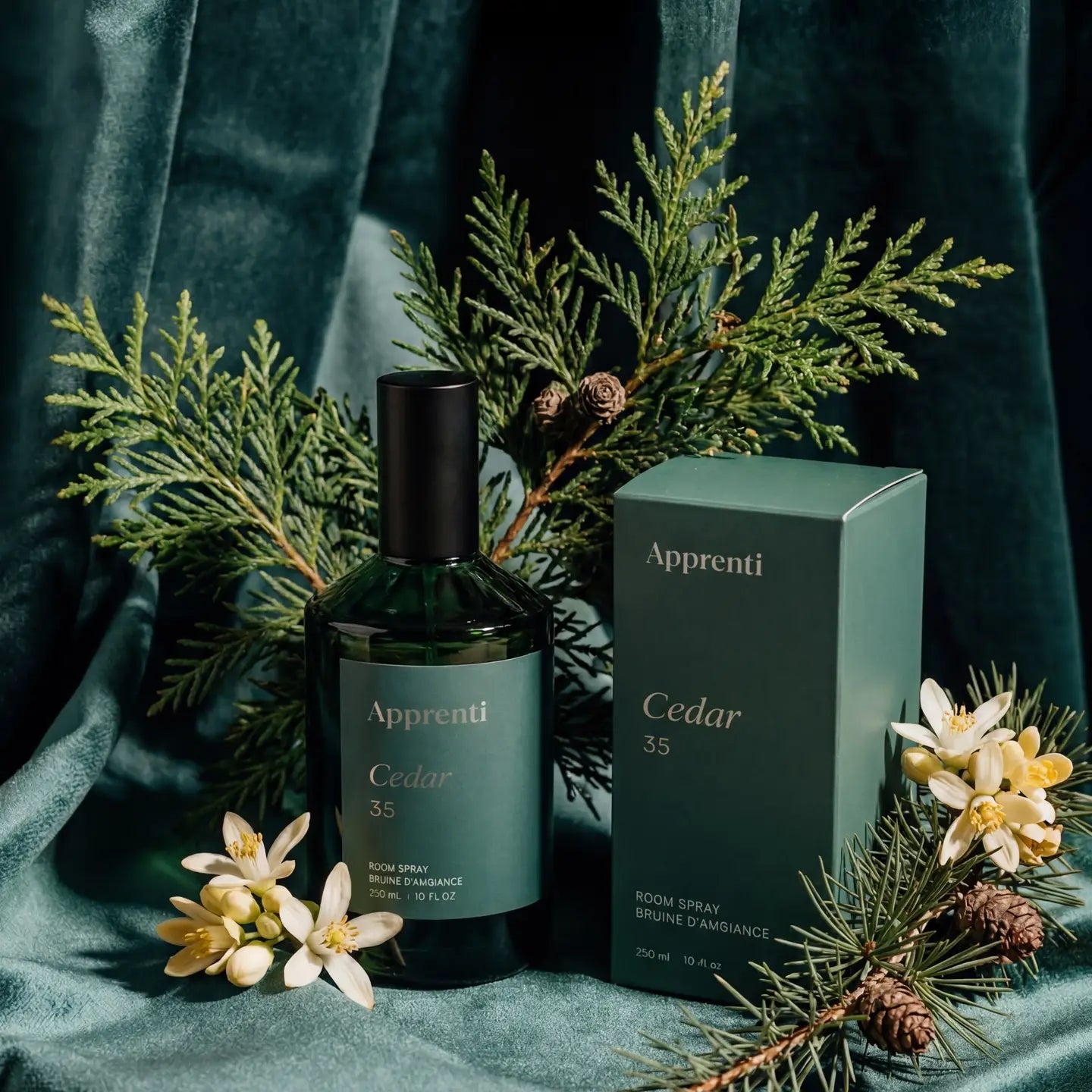 APPRENTI - BRUINE D'AMBIANCE - CÈDRE 35