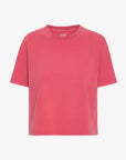 COLORFUL STANDARD - BOXY CROP TEE - FADED RED