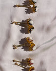 THIS ILK -  BOUCLES CYNARA