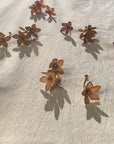 THIS ILK -  BOUCLES TIARÉ