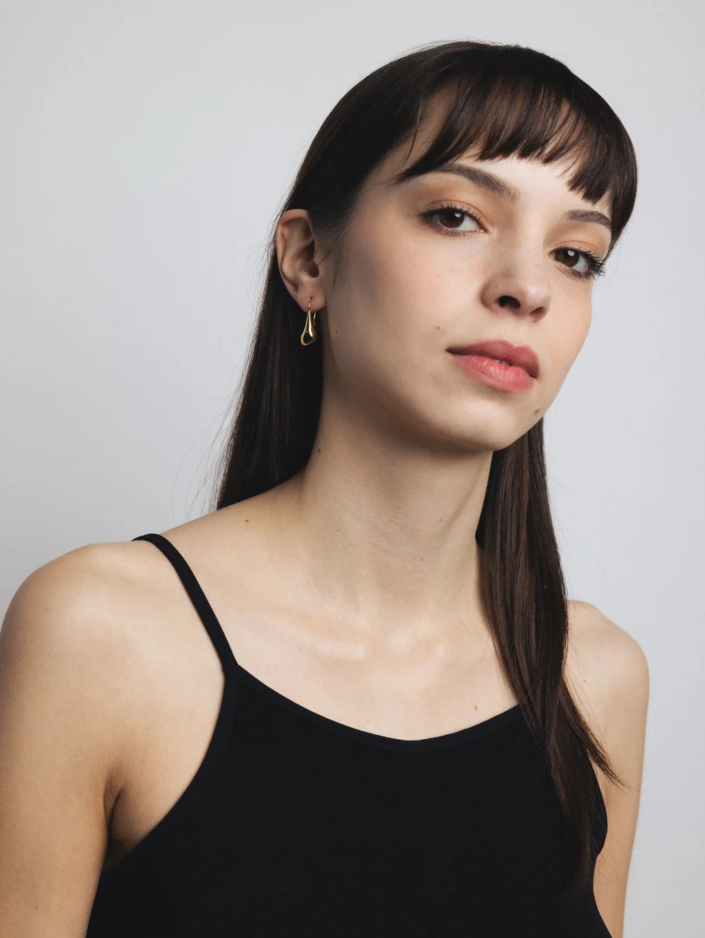 WOLF CIRCUS - BOUCLES D'OREILLES SAGE - PLAQUÉ OR
