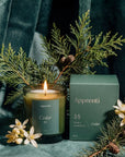 APPRENTICE - CANDLE - CEDAR