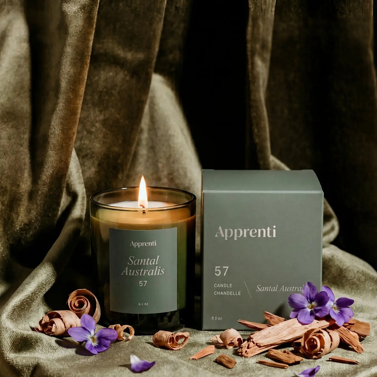 APPRENTI - CHANDELLE - SANTAL AUSTRALIS