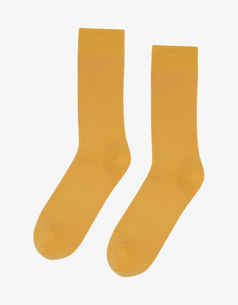 COLORFUL STANDARD - SOCKS - MEN