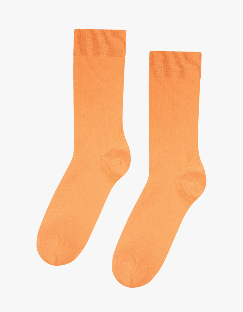 COLORFUL STANDARD - SOCKS - MEN