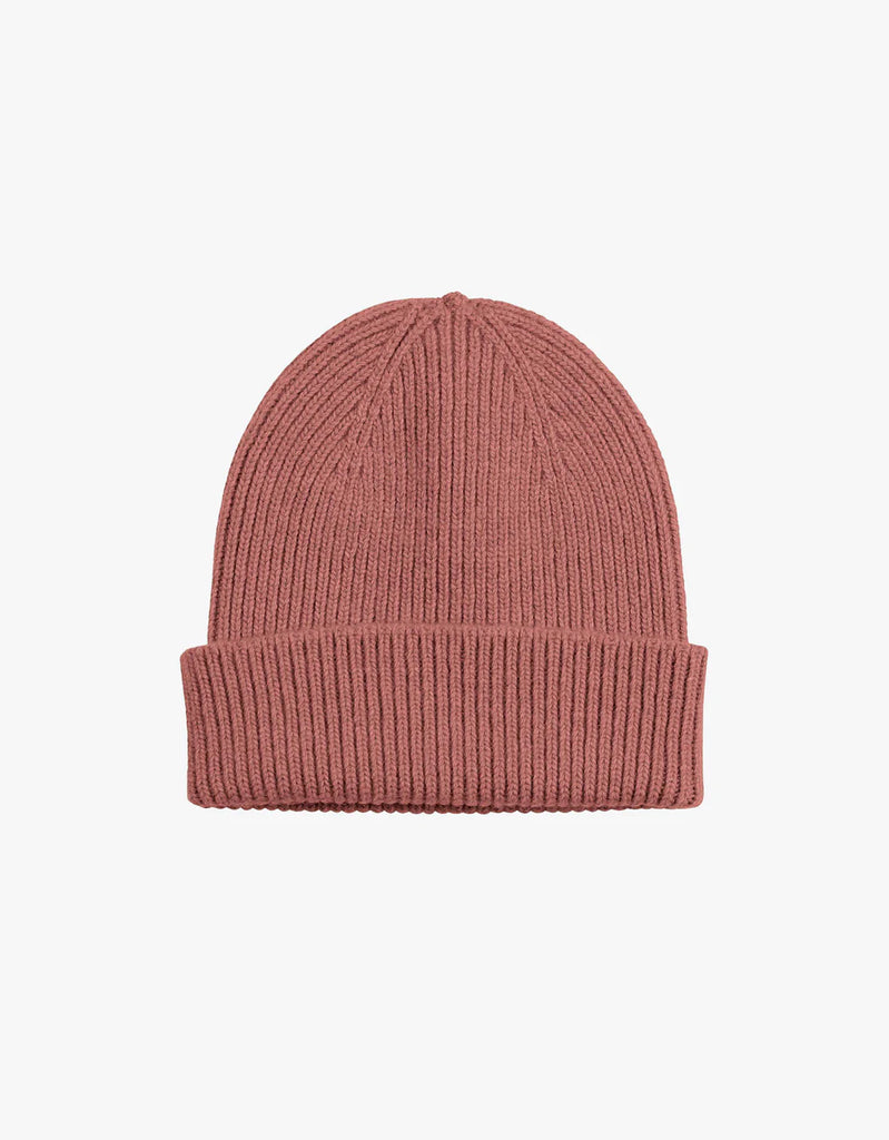 COLORFUL STANDARD - TUQUE MERINO SIMPLE