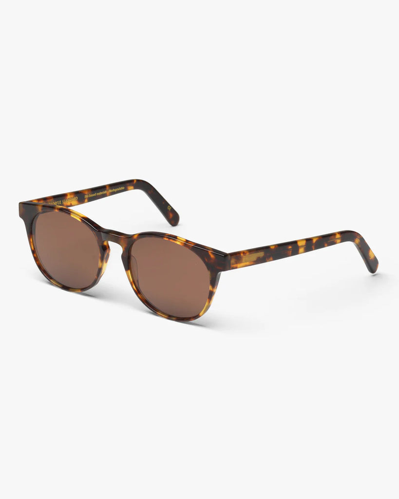 COLORFUL STANDARD - SUNGLASS 15