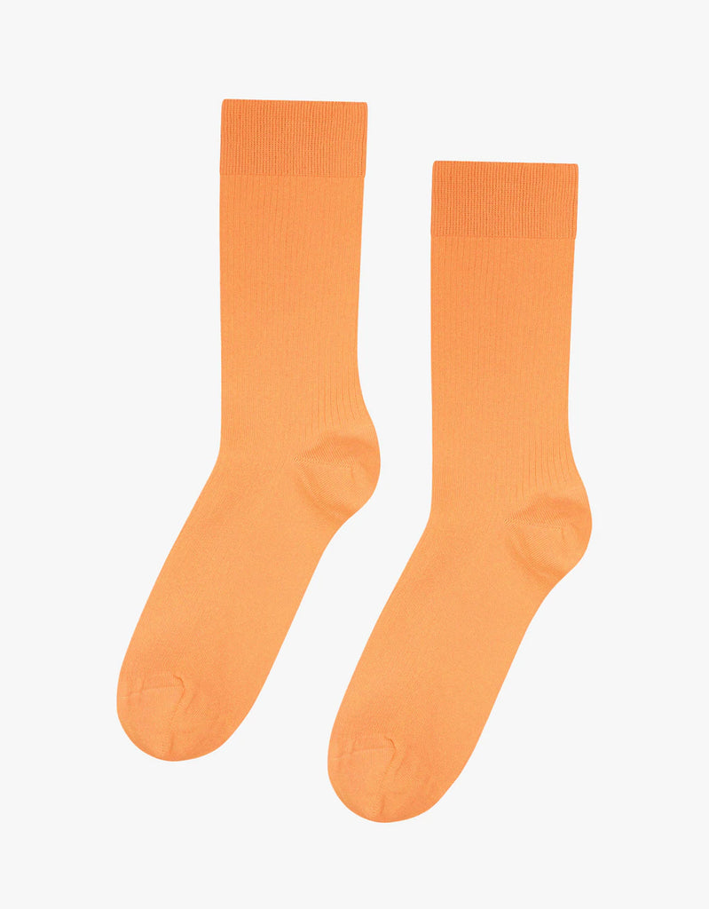 COLORFUL STANDARD - SOCKS - WOMEN